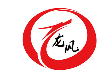 龙风logo.jpg